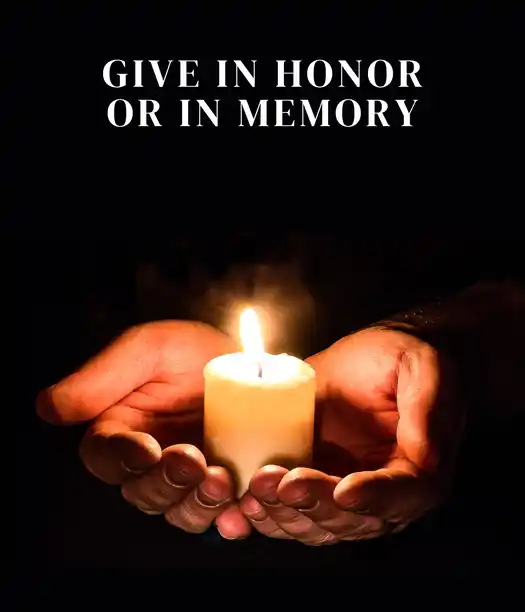 Give in Honor or in Memory