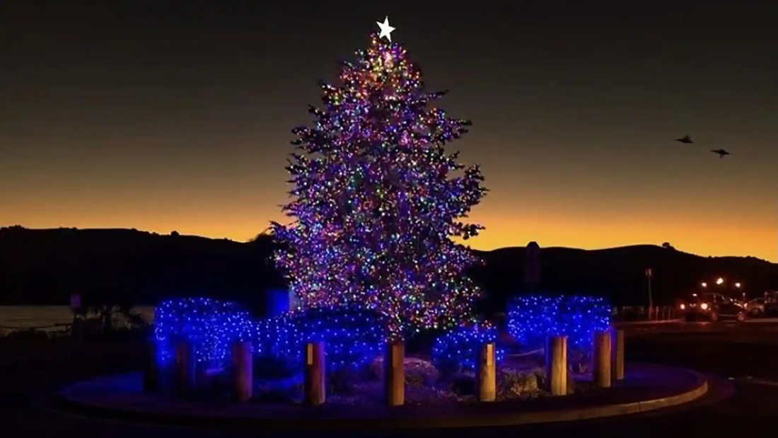 Benicia Tree Lighting Sponsorship Opportunities